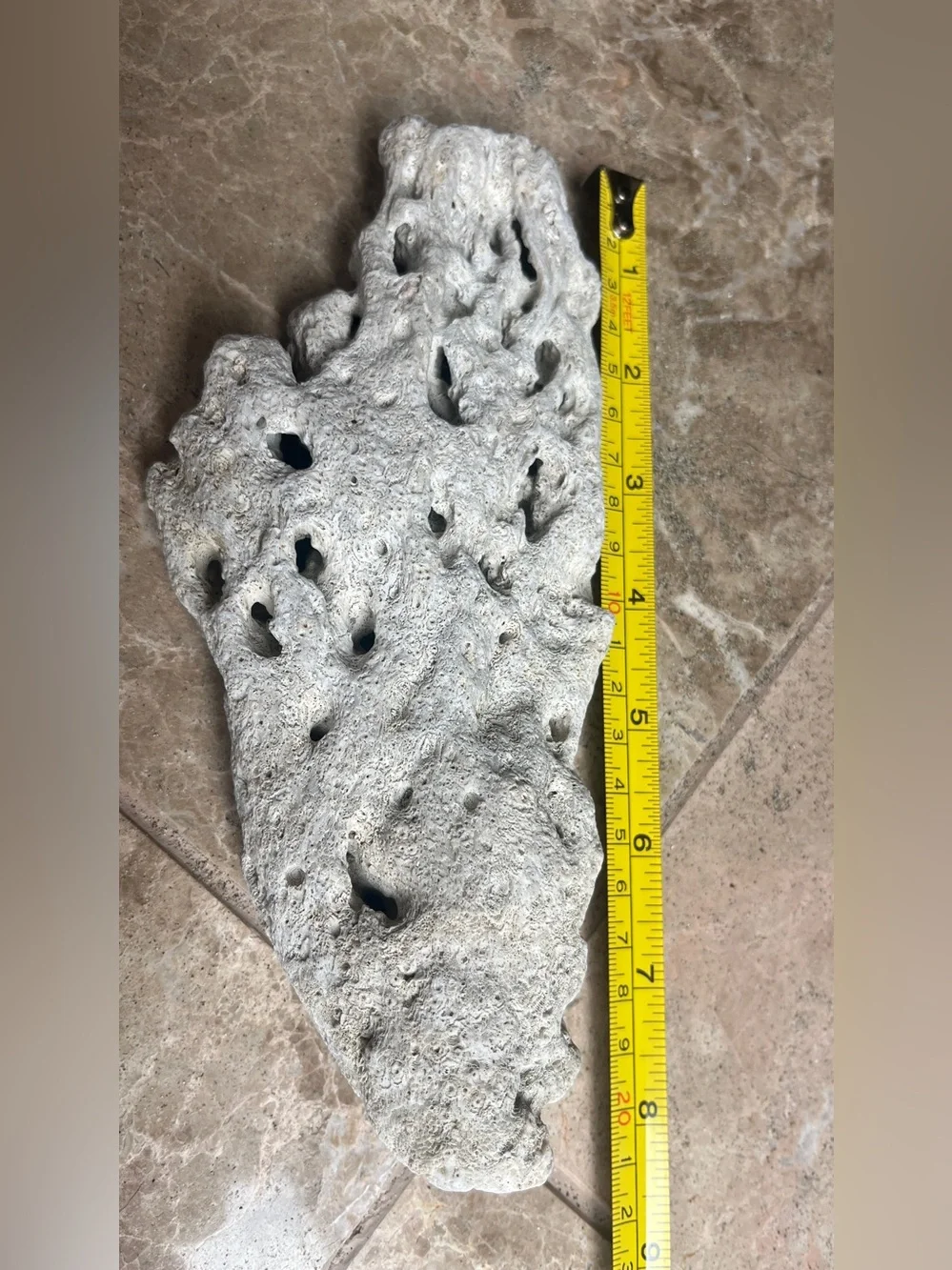 Natural coral info pacific